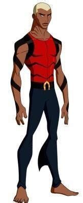 young justice aqualad|The World's Finest .